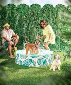 Minnidip Pup Dip - That's Banana Leaves Dog Pool -Swimming Pools Sales unnamed file 114