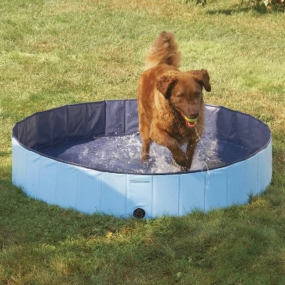 Cool Pup Splash About 63 Inch Diameter 12 Inches Tall Collapsible PVC Outdoor Dog Pet Swimming Pool, 119.25 Gallon, Blue 3 Cool Pup Splash About 63 Inch Diameter 12 Inches Tall Collapsible PVC Outdoor Dog Pet Swimming Pool, 119.25 Gallon, Blue - Image 3