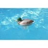 Swim Central 16" Mallard Duck Floating Swimming Pool Chlorine Dispenser