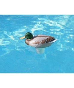 Swim Central 16" Mallard Duck Floating Swimming Pool Chlorine Dispenser