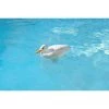 Swim Central 16" White Duck Floating Swimming Pool Chlorine Dispenser