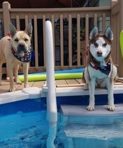 Confer Plastics Confer CCXAG Grey 4-Step Above Ground Swimming Pool Grand Entry Steps + Mat Pad -Swimming Pools Sales unnamed file 3199