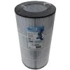 Unicel C-9699 Spa Replacement 100 Sq Ft Filter Cartridge PJB-100 FC-1490