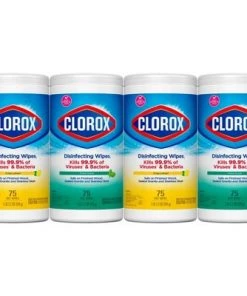 Clorox Disinfecting Wipes Value Pack - 300ct/4pk